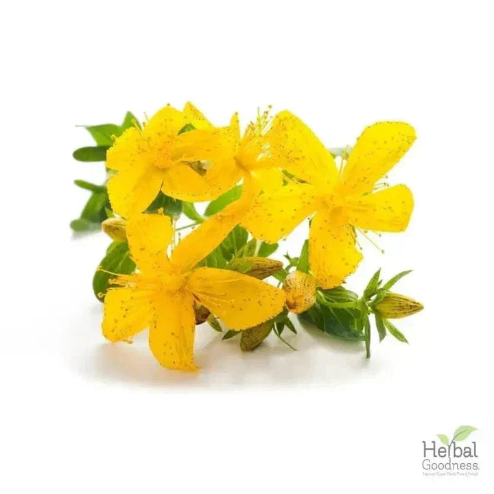 Bulk Herbs & Roots - 4oz Organic bulk teas for digestion, energy, detox Bulk Herb Herbal Goodness 