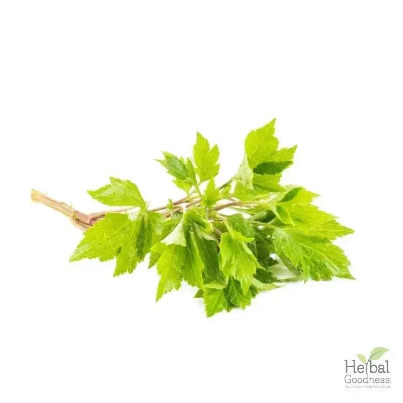 Bulk Herbs & Roots - 4oz Organic bulk teas for digestion, energy, detox Bulk Herb Herbal Goodness Mugwort Leaf 