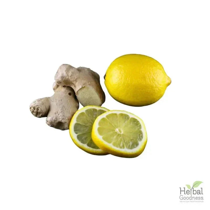 Bulk Teas & Tisanes 4oz | Premium Loose Leaf Herbal Tea for Wellness Bulk Herb Herbal Goodness 