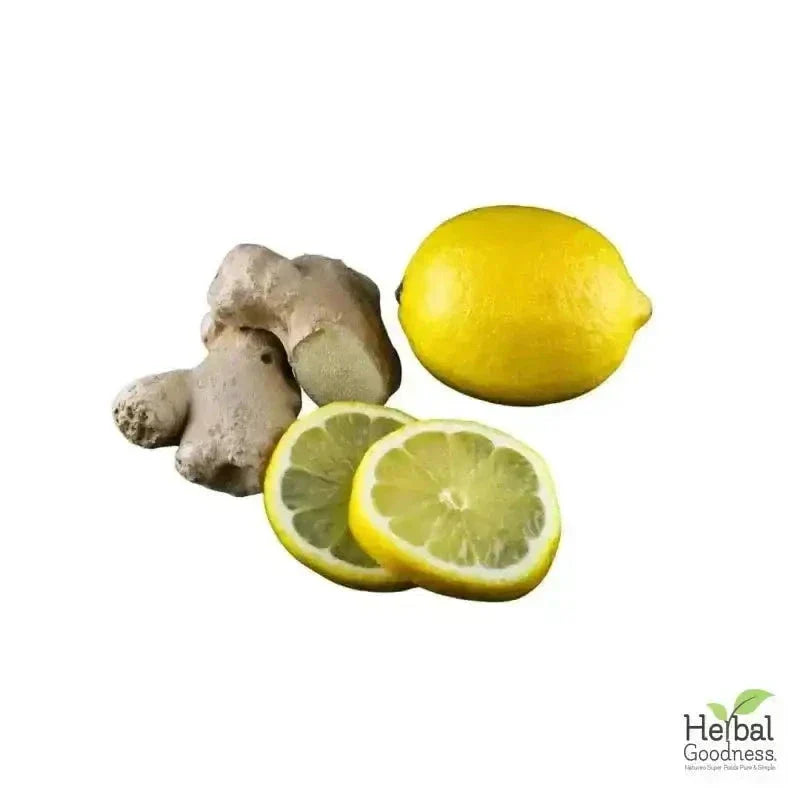 Bulk Loose Leaf Teas & Tisanes - Organic 4oz - Herbal Wellness Teas Bulk Herb Herbal Goodness 