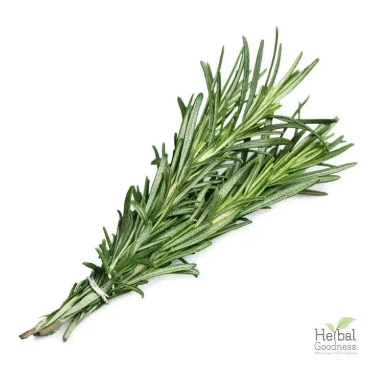 Bulk Spices & Seasonings 4oz | Fresh Vibrant Aromatic Flavor – Herbal Goodness Bulk Herb Herbal Goodness 