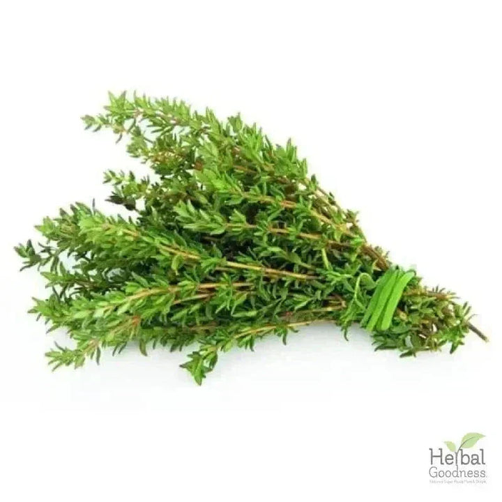 Bulk Spices & Seasonings 4oz | Fresh Vibrant Aromatic Flavor – Herbal Goodness Bulk Herb Herbal Goodness 