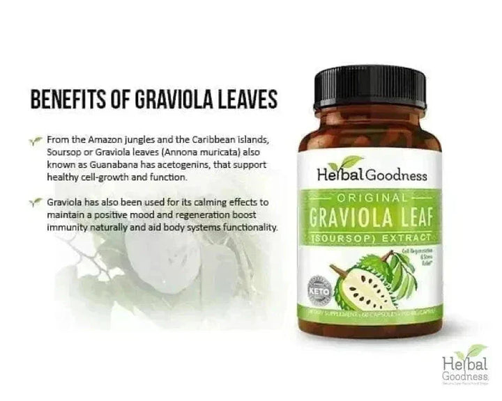Graviola Soursop Leaf Extract Capsules – 10X Strength - 60/600mg Capsules Herbal Goodness 