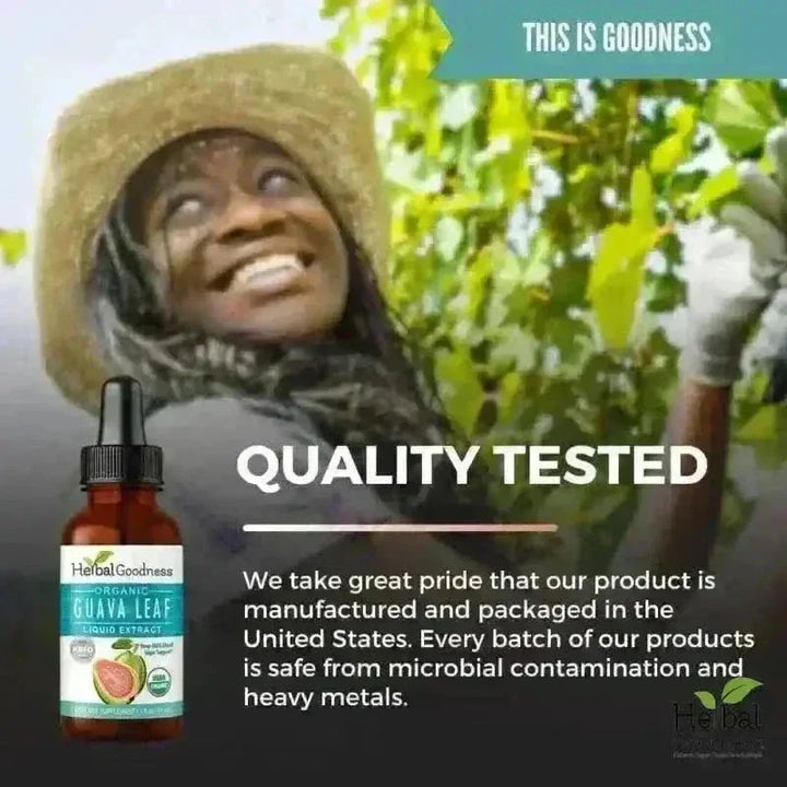 Guava Leaf - Organic 15X Liquid Extract - Immunity & Herbal Health Liquid Extract Herbal Goodness 