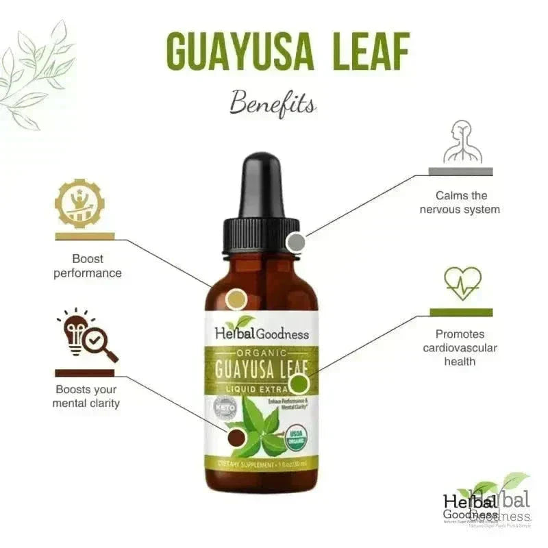 Guayusa Leaf Extract - Organic - Liquid - Herbal Goodness Liquid Extract Herbal Goodness 