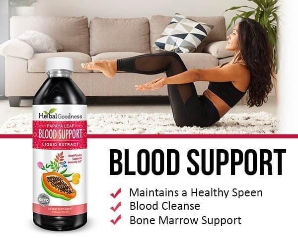 A dark glass bottle of herbal wellness support papaya leaf blood support extract with a white cap in immune cleanse travel bundle