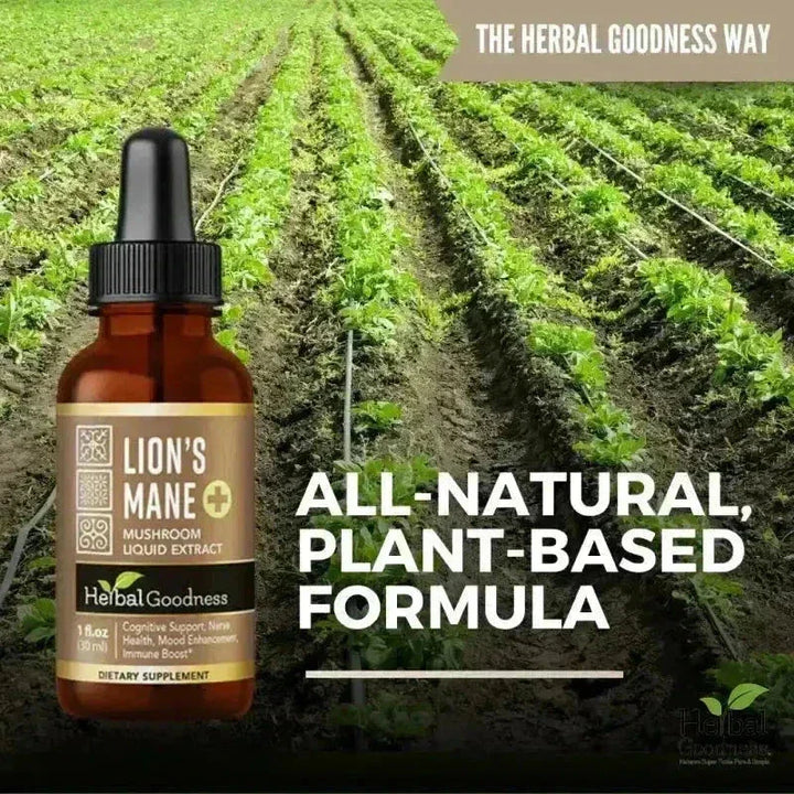 Lion's Mane Mushroom Liquid Extract - Organic - Brain & Mood Liquid Extract Herbal Goodness 