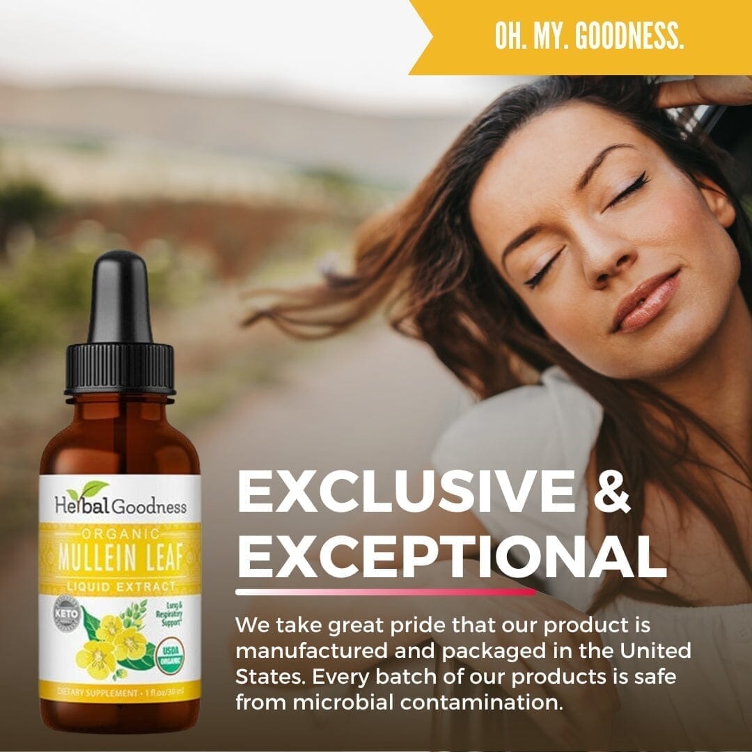 Mullein Leaf Extract Liquid - Organic - 15X Strength Liquid Extract Herbal Goodness 