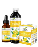Mullein Leaf Lung Support Bundle