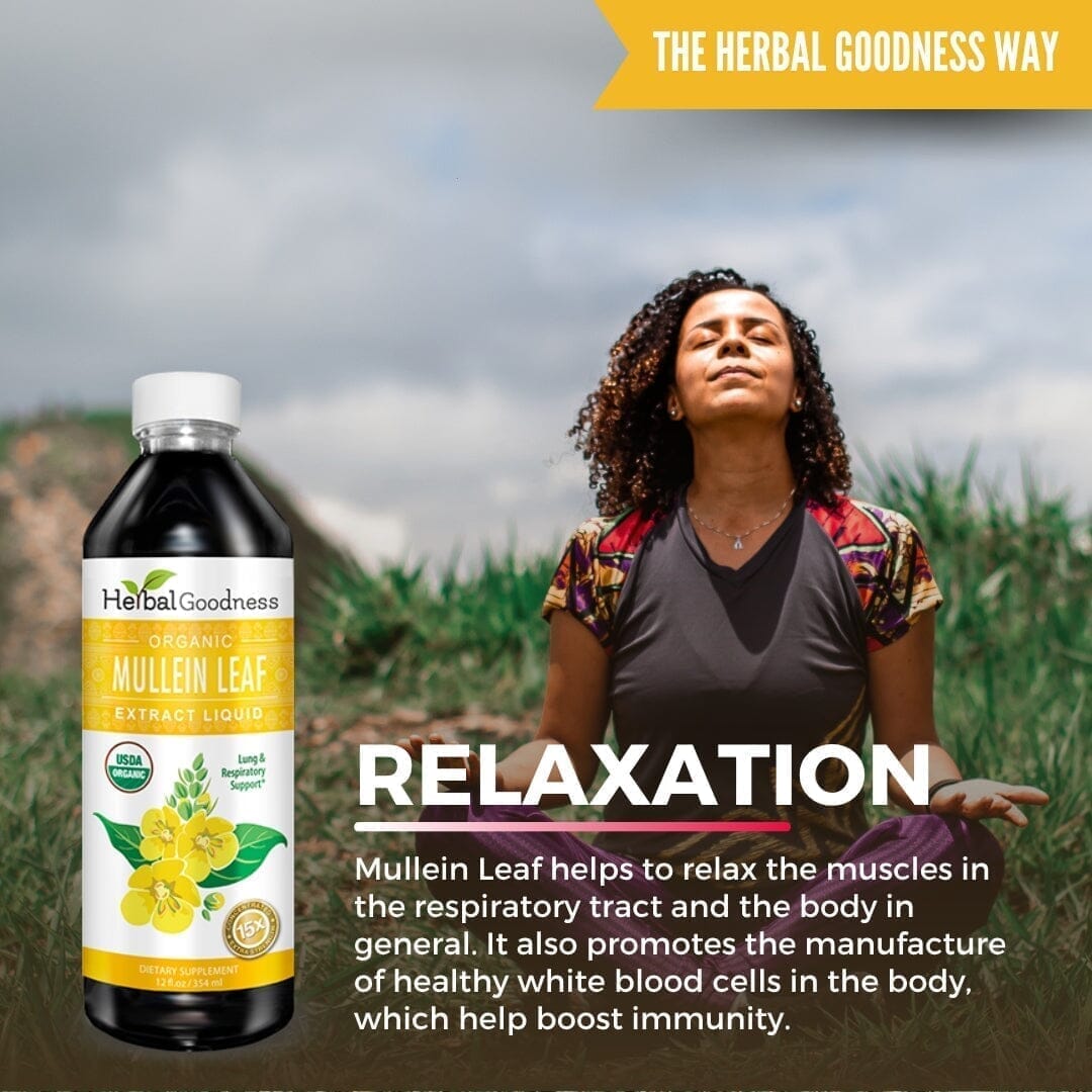 Mullein Leaf Extract Liquid - Organic - 15X Strength Liquid Extract Herbal Goodness 