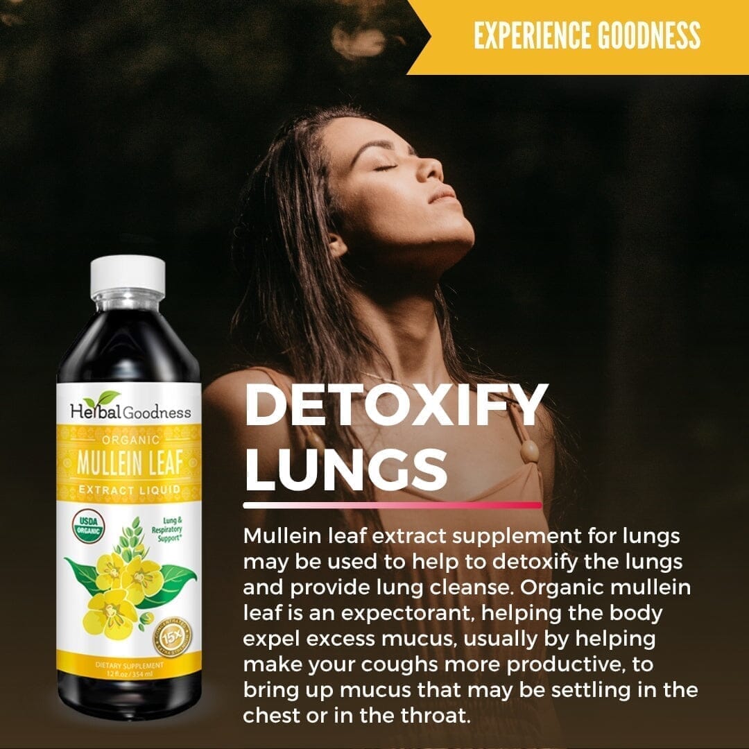 Mullein Leaf Extract Liquid - Organic - 15X Strength Liquid Extract Herbal Goodness 