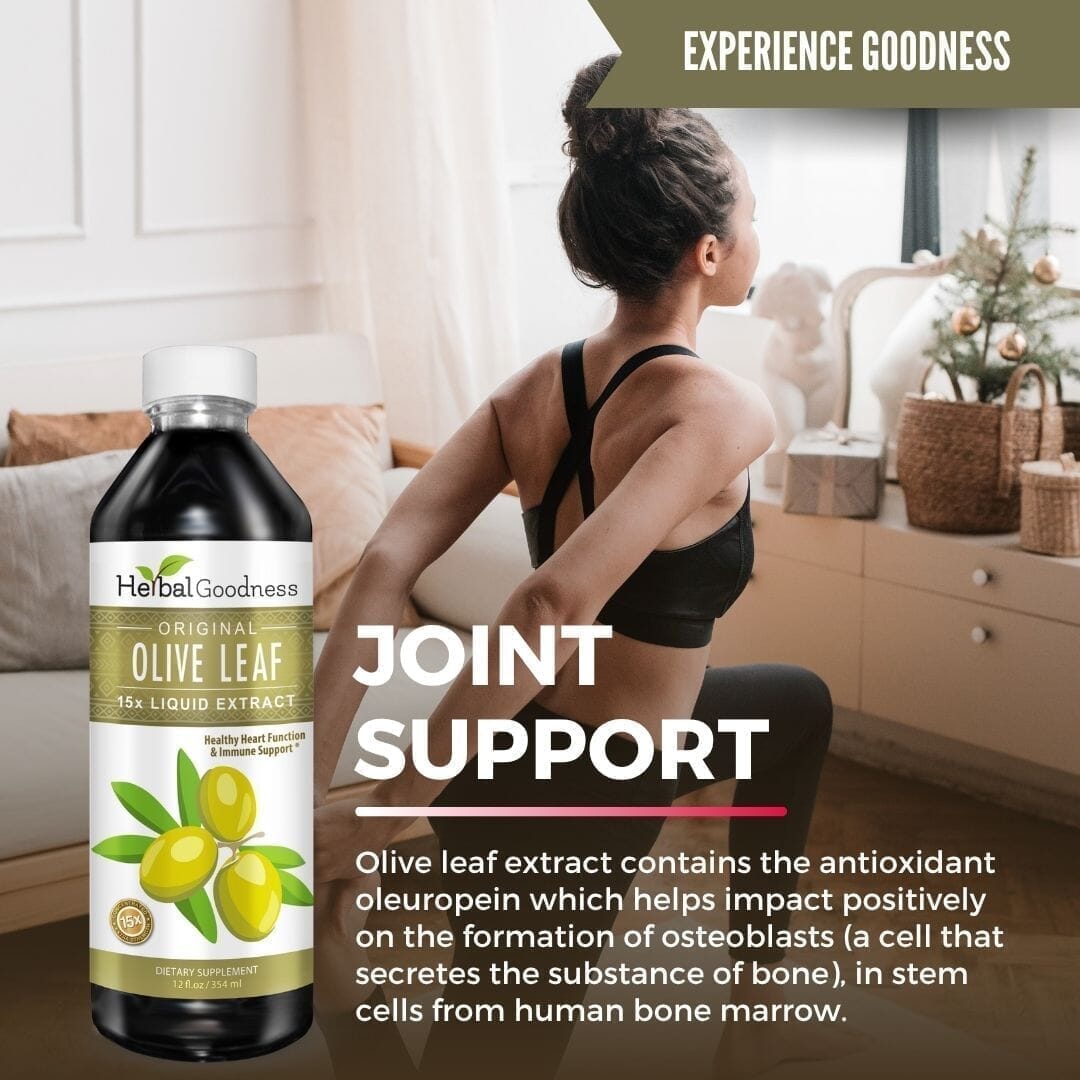 Olive Leaf - Organic 1oz 15X Liquid Extract - Immunity & Performance Liquid Extract Herbal Goodness 