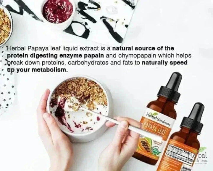Papaya Leaf Extract - Organic - Liquid 1oz - Herbal Goodness Liquid Extract Herbal Goodness 