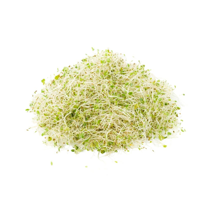 Premium Bulk Herbs Herbal Goodness Alfalfa Leaf Organic 16 
