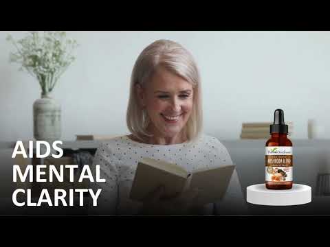 Mushroom Blend Extract  - Immunity - Herbal Goodness