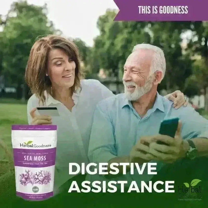 Sea Moss - Raw Dried from St Lucia - 8oz Bag - Nature's MultiVitamins Bulk Herb Herbal Goodness 