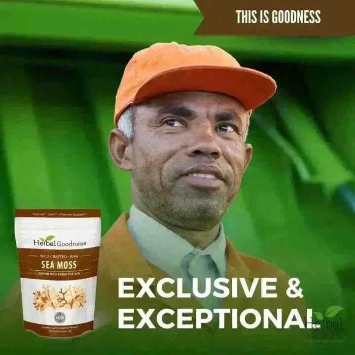 Sea Moss - Raw Dried Gold & Purple St Lucia Bulk Herb Herbal Goodness 