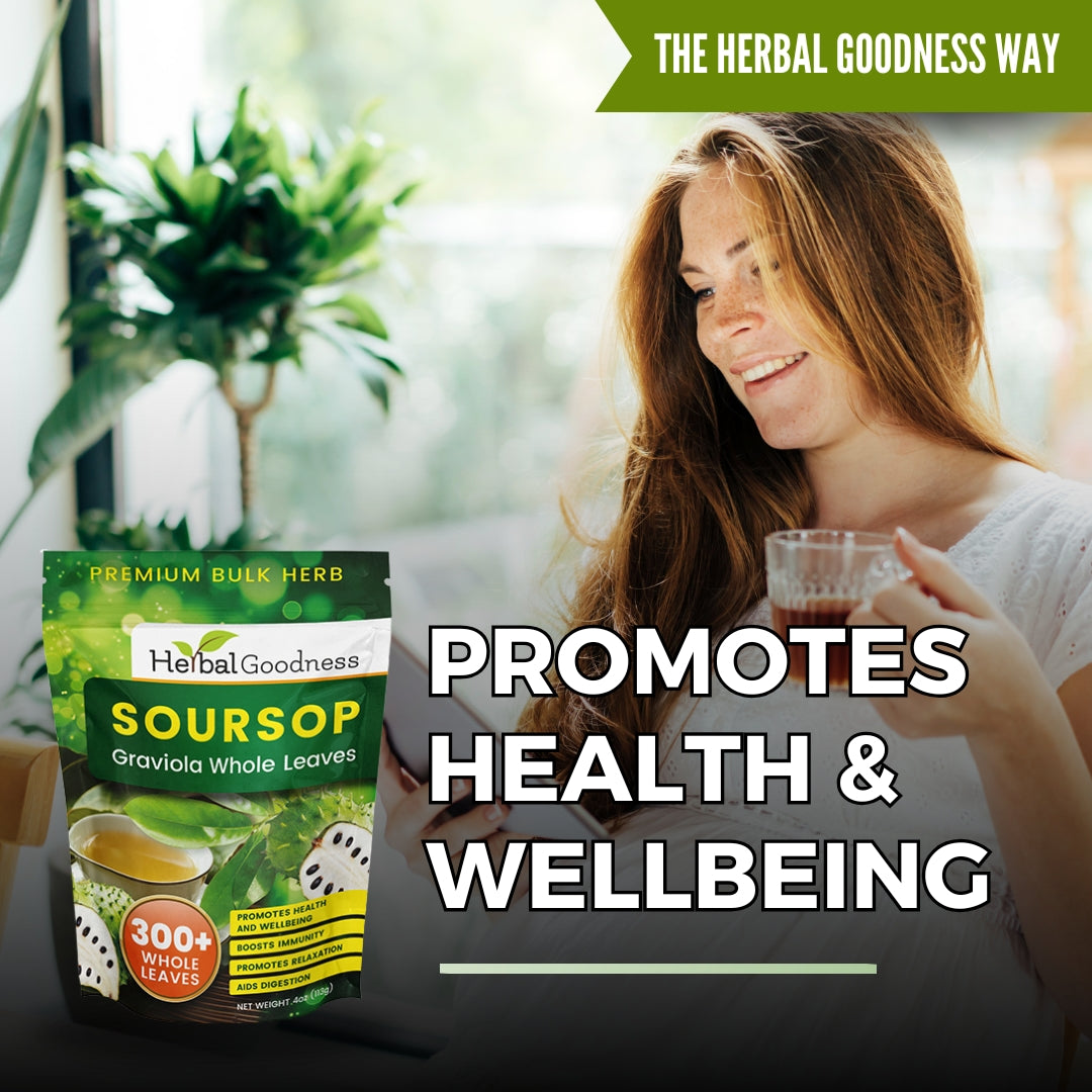 Soursop Graviola Whole Leaves – 300+ Leaves (4oz Buy Bulk Herb