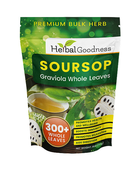 Soursop Graviola Whole Leaves – 300+ Leaves (4oz Buy Bulk Herb