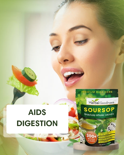 Soursop Graviola Leaf (Whole Leaves) - Organic - 300 + Leaves - Immune & Wellness Support