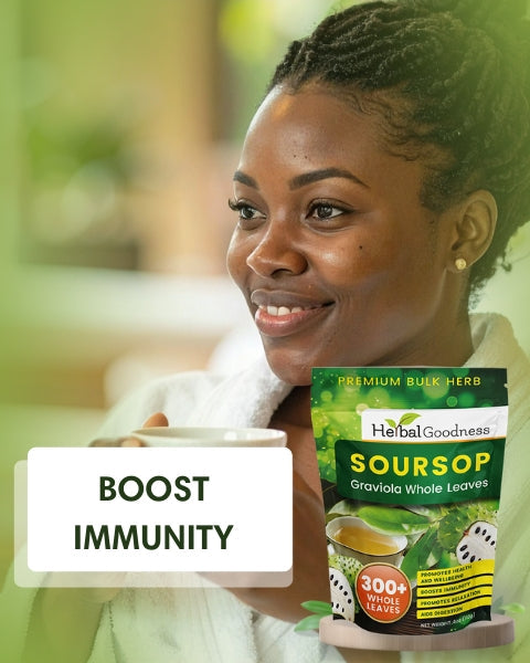 Soursop Graviola Leaf (Whole Leaves) - Organic - 300 + Leaves - Immune & Wellness Support