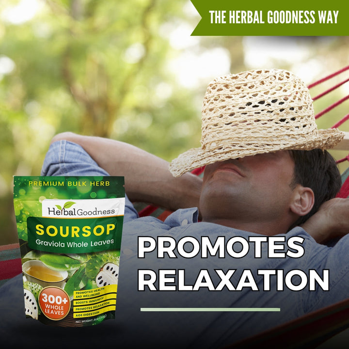 Soursop Graviola Whole Leaves – 300+ Leaves (4oz Buy Bulk Herb