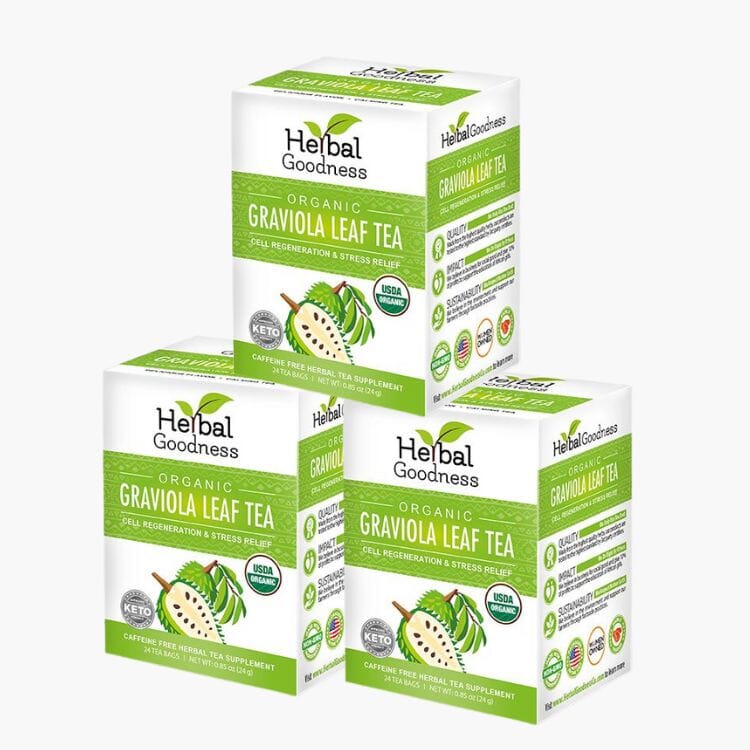 Soursop Leaf Tea Graviola Leaves - 100% Organic - Herbal Goodness Tea & Infusions Herbal Goodness Graviola Leaf Tea_Bundle_3packs 