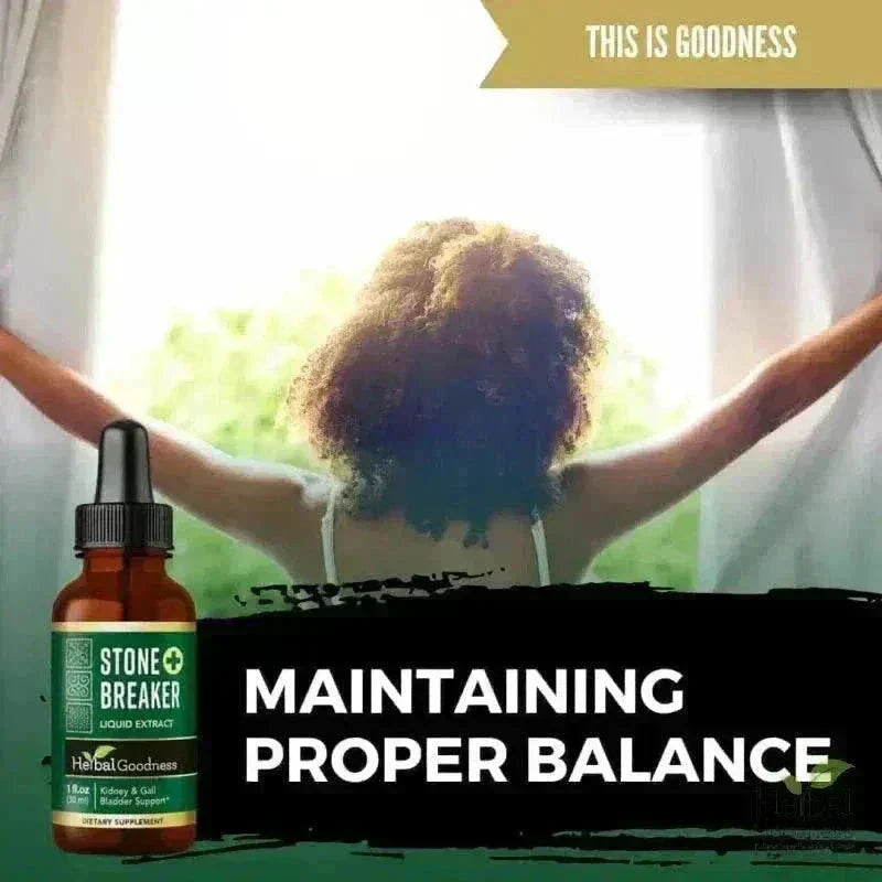 Stone Breaker Chanca Piedra Extract 15X Strength - Liquid Liquid Extract Herbal Goodness 