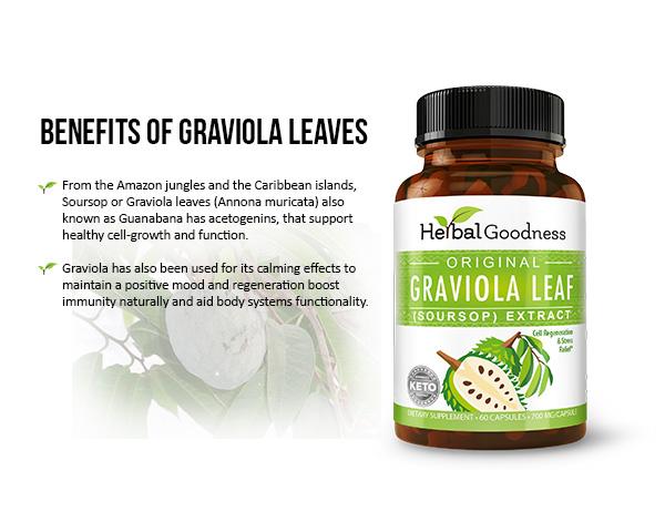 Graviola (Soursop) Leaf Extract - 60/700mg Veggie Capsules - Healthy Cell Support - By Herbal Goodness Capsules Herbal Goodness 