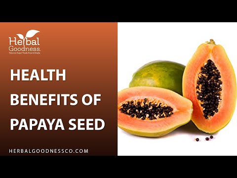 Papaya Seed Powder - Organic 4oz - Herbal Goodness