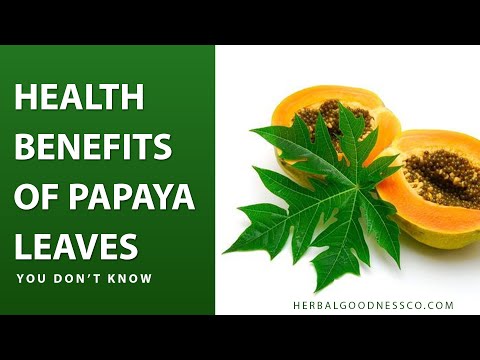 papaya leaf extract capsules