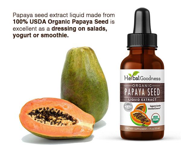 Papaya Seed Liquid Extract - 1oz - Organic Non-GMO - Remove Toxins, Liver Cleanse & Health - By Herbal Goodness Liquid Extract Herbal Goodness 